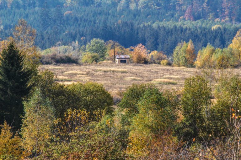 Přes střelnici Kolvín na Padrť